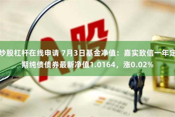 炒股杠杆在线申请 7月3日基金净值：嘉实致信一年定期纯债债券最新净值1.0164，涨0.02%