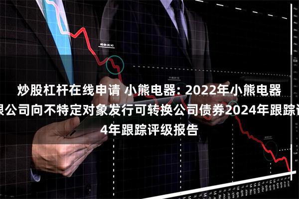 炒股杠杆在线申请 小熊电器: 2022年小熊电器股份有限公司向不特定对象发行可转换公司债券2024年跟踪评级报告