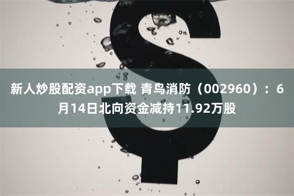 新人炒股配资app下载 青鸟消防（002960）：6月14日北向资金减持11.92万股