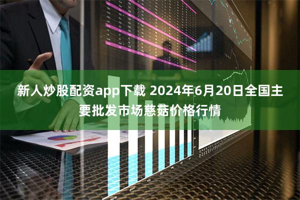 新人炒股配资app下载 2024年6月20日全国主要批发市场慈菇价格行情