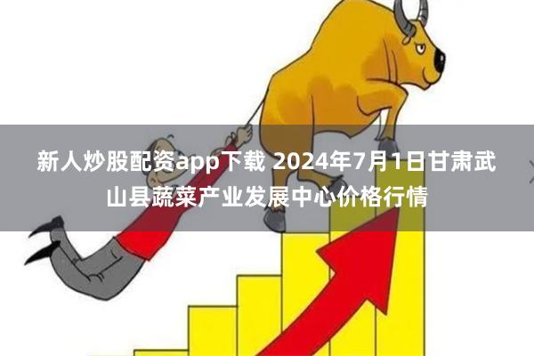 新人炒股配资app下载 2024年7月1日甘肃武山县蔬菜产业发展中心价格行情