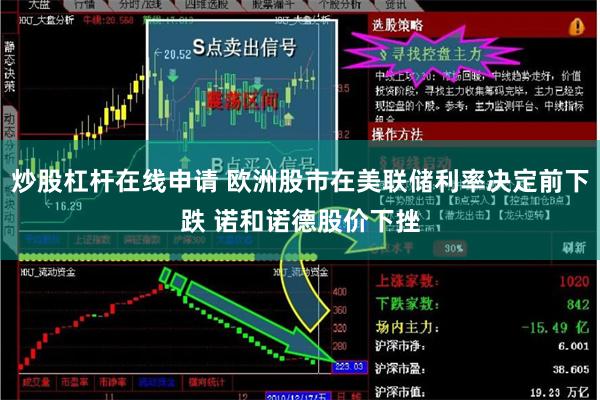 炒股杠杆在线申请 欧洲股市在美联储利率决定前下跌 诺和诺德股价下挫